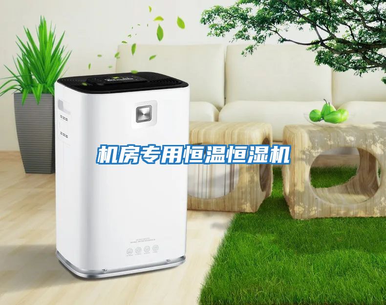 機(jī)房專(zhuān)用恒溫恒濕機(jī)