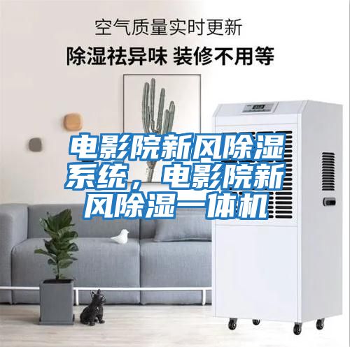 電影院新風(fēng)除濕系統(tǒng)，電影院新風(fēng)除濕一體機(jī)