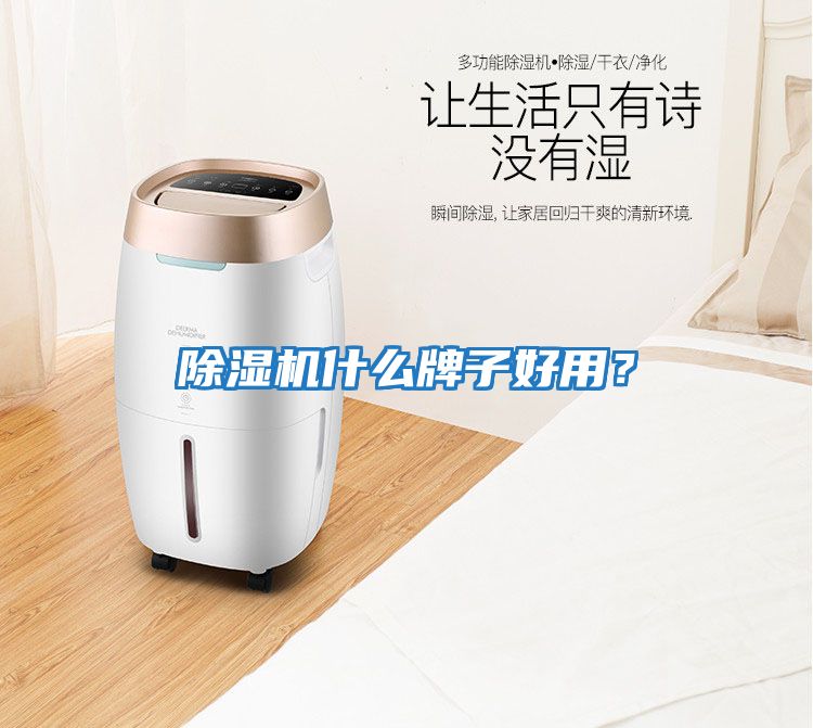 除濕機(jī)什么牌子好用？