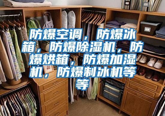 防爆空調，防爆冰箱，防爆除濕機，防爆烘箱，防爆加濕機，防爆制冰機等等