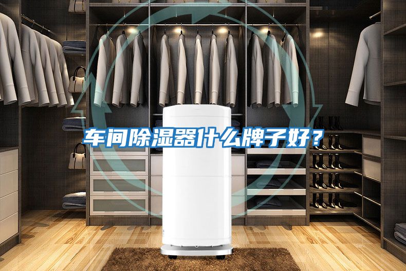車間除濕器什么牌子好？