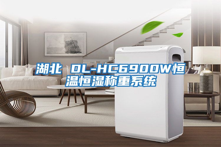 湖北 DL-HC6900W恒溫恒濕稱(chēng)重系統(tǒng)