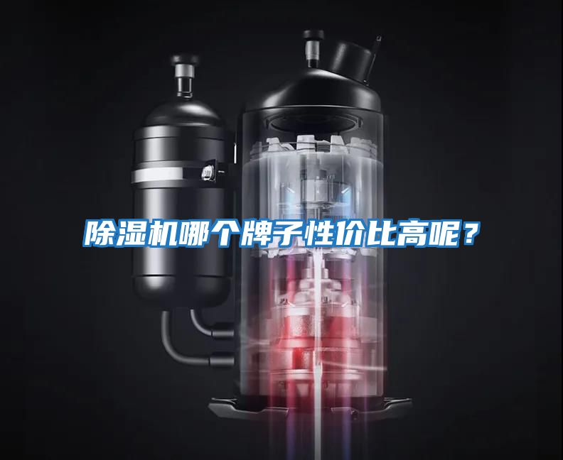 除濕機(jī)哪個(gè)牌子性價(jià)比高呢？