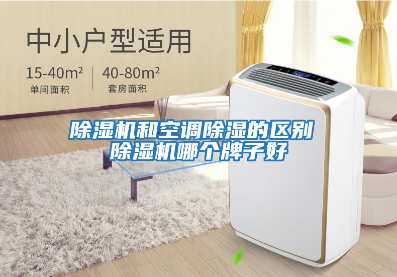 除濕機和空調除濕的區(qū)別 除濕機哪個牌子好