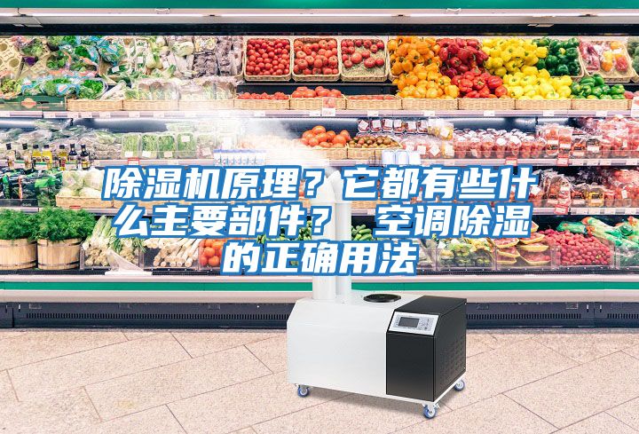 除濕機原理？它都有些什么主要部件？ 空調(diào)除濕的正確用法