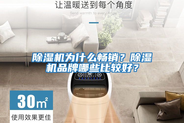 除濕機為什么暢銷？除濕機品牌哪些比較好？