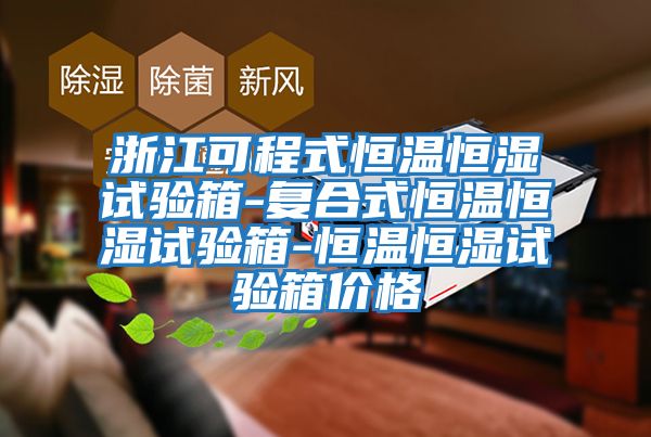 浙江可程式恒溫恒濕試驗(yàn)箱-復(fù)合式恒溫恒濕試驗(yàn)箱-恒溫恒濕試驗(yàn)箱價格