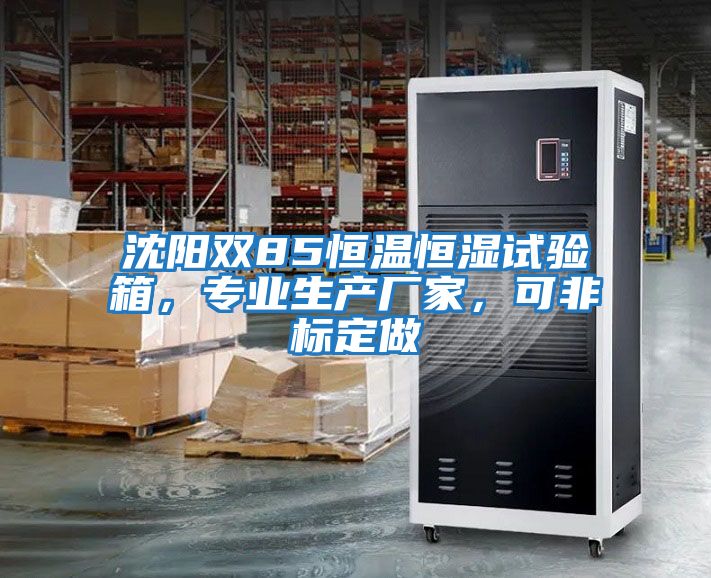 沈陽雙85恒溫恒濕試驗箱，專業生產廠家，可非標定做