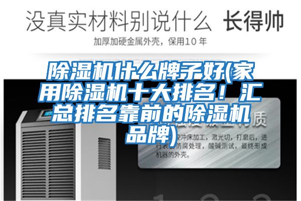 除濕機什么牌子好(家用除濕機十大排名！匯總排名靠前的除濕機品牌)