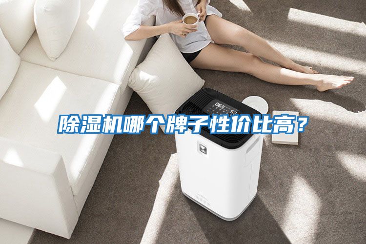 除濕機(jī)哪個(gè)牌子性價(jià)比高？