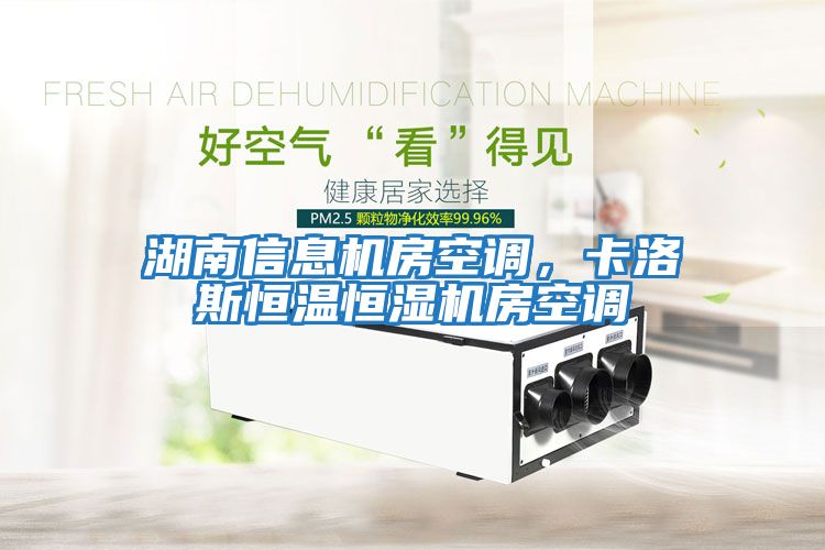 湖南信息機房空調，卡洛斯恒溫恒濕機房空調