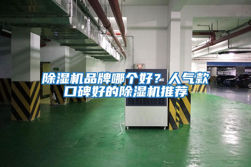 除濕機品牌哪個好？人氣款口碑好的除濕機推薦