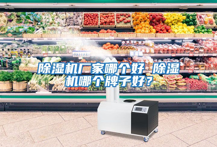除濕機廠家哪個好 除濕機哪個牌子好？