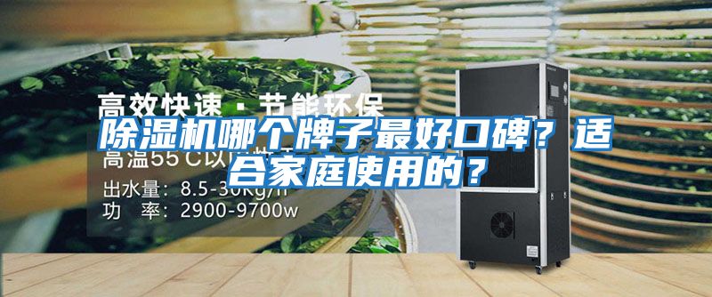 除濕機哪個牌子最好口碑？適合家庭使用的？