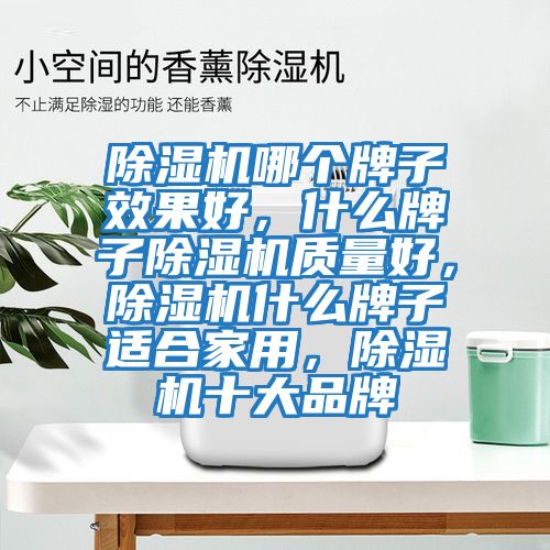 除濕機哪個牌子效果好，什么牌子除濕機質(zhì)量好，除濕機什么牌子適合家用，除濕機十大品牌