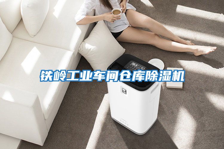 鐵嶺工業(yè)車(chē)間倉(cāng)庫(kù)除濕機(jī)