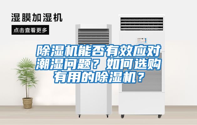 除濕機(jī)能否有效應(yīng)對(duì)潮濕問(wèn)題？如何選購(gòu)有用的除濕機(jī)？