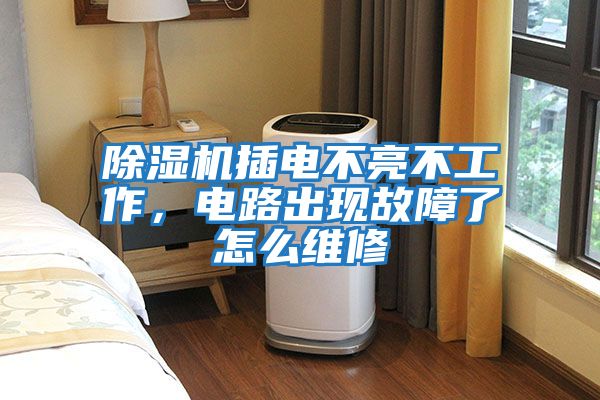 除濕機插電不亮不工作，電路出現(xiàn)故障了怎么維修