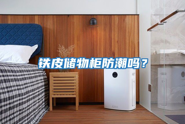 鐵皮儲(chǔ)物柜防潮嗎？