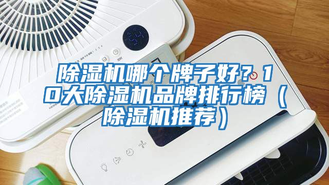 除濕機哪個牌子好？10大除濕機品牌排行榜（除濕機推薦）