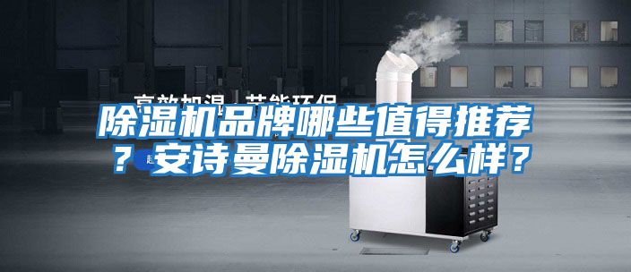 除濕機品牌哪些值得推薦？安詩曼除濕機怎么樣？