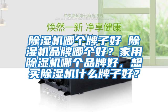 除濕機(jī)哪個(gè)牌子好 除濕機(jī)品牌哪個(gè)好？家用除濕機(jī)哪個(gè)品牌好，想買除濕機(jī)什么牌子好？