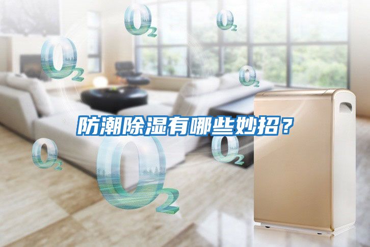 防潮除濕有哪些妙招？