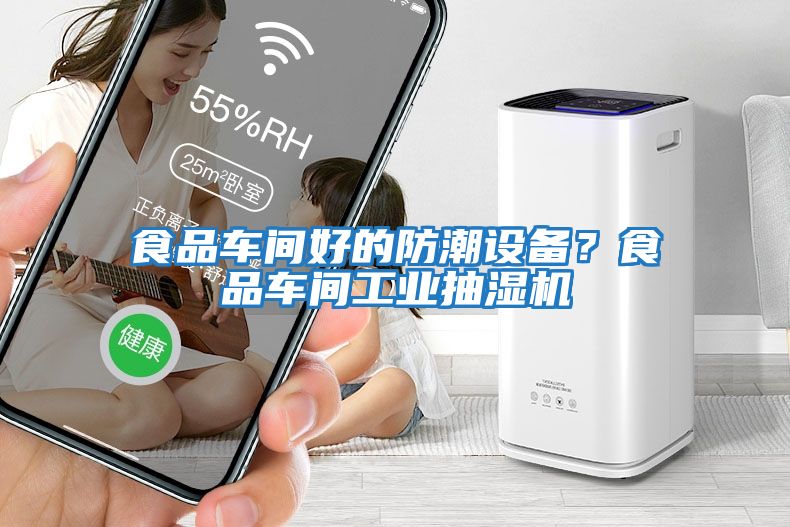 食品車間好的防潮設備？食品車間工業(yè)抽濕機