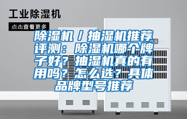 除濕機(jī)／抽濕機(jī)推薦評測：除濕機(jī)哪個(gè)牌子好？抽濕機(jī)真的有用嗎？怎么選？具體品牌型號推薦