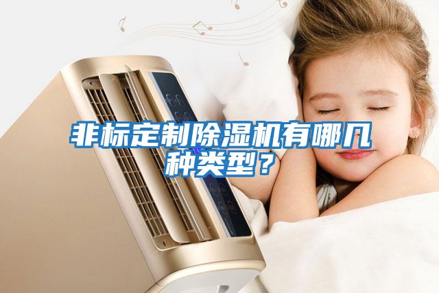 非標(biāo)定制除濕機(jī)有哪幾種類型？