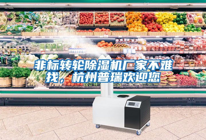 非標(biāo)轉(zhuǎn)輪除濕機廠家不難找，杭州普瑞歡迎您